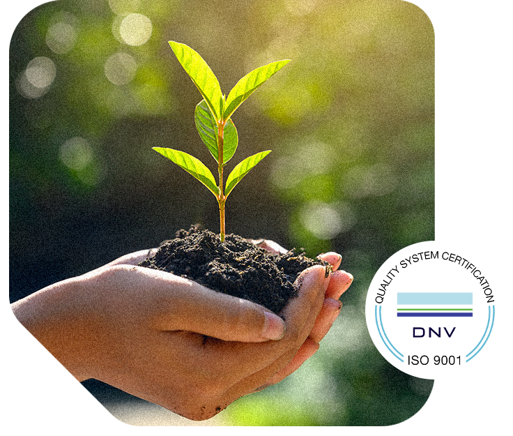 Personalização Embanor